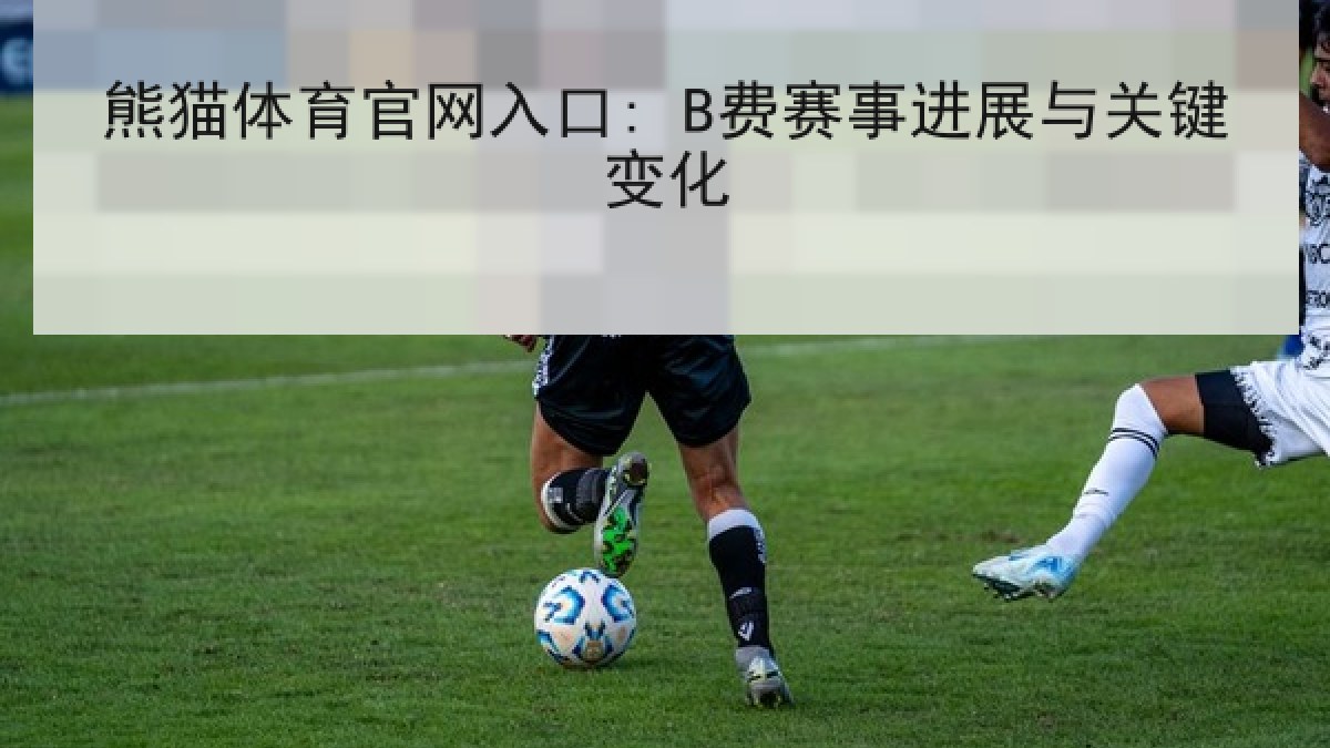熊猫体育官网入口: B费赛事进展与关键变化