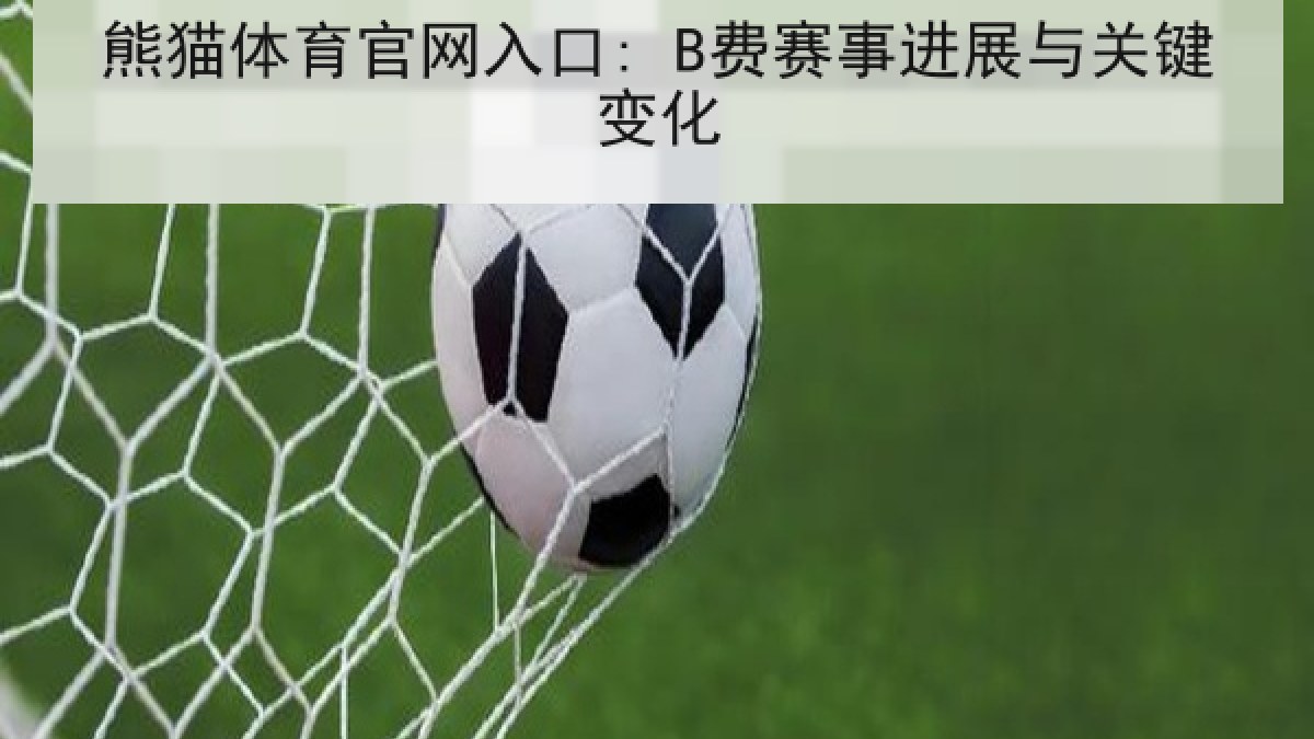 熊猫体育官网入口: B费赛事进展与关键变化