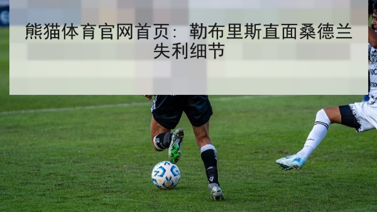 熊猫体育官网首页: 勒布里斯直面桑德兰失利细节
